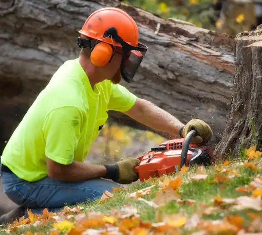 tree services Nevis